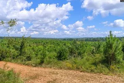 0000 Hwy 215 3 #3, Jenkinsville, SC 29065 - Photo 15