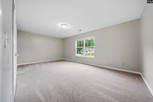 305 Cutter Ct, Chapin, SC 29036 - Photo 17