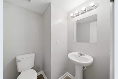 305 Cutter Court, Chapin, SC 29036 - Photo 7