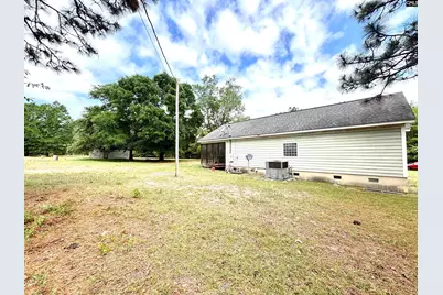 310 Otis Road, Pelion, SC 29123 - Photo 3