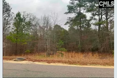 669 Clay Hills Road, Pelion, SC 29123 - Photo 1