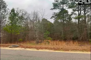 669 Clay Hills Rd, Pelion, SC 29123 - Photo 1