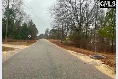 669 Clay Hills Road, Pelion, SC 29123 - Photo 3