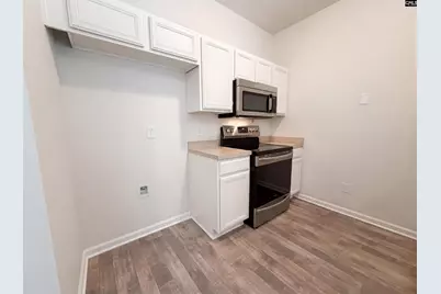 149 Angel Garden Way, Columbia, SC 29223 - Photo 11