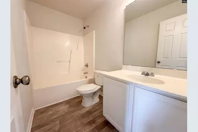 149 Angel Garden Way, Columbia, SC 29223 - Photo 17