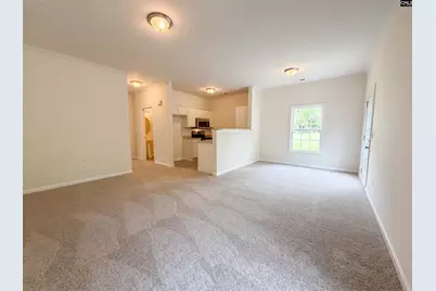 149 Angel Garden Way, Columbia, SC 29223 - Photo 3