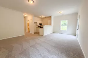 149 Angel Garden Way, Columbia, SC 29223 - Photo 3