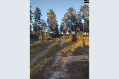 Tbd Poinsettia Road, Wagener, SC 29164 - Photo 3