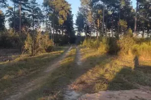 Tbd Poinsettia Rd, Wagener, SC 29164 - Photo 3