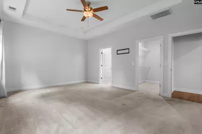 482 Malachite Lane, Chapin, SC 29036 - Photo 17