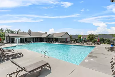482 Malachite Lane, Chapin, SC 29036 - Photo 41