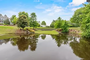 482 Malachite Ln, Chapin, SC 29036 - Photo 45