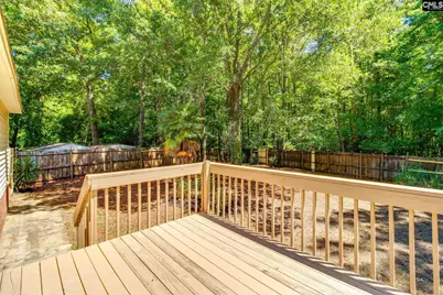 16 Seaford Court, Irmo, SC 29063 - Photo 31