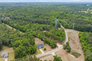 543 Jim Rucker, Swansea, SC 29160 - Photo 37
