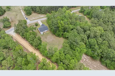 543 Jim Rucker, Swansea, SC 29160 - Photo 41