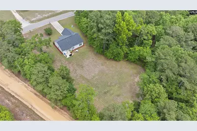 543 Jim Rucker, Swansea, SC 29160 - Photo 45