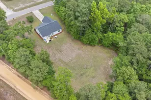 543 Jim Rucker, Swansea, SC 29160 - Photo 45