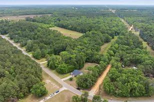 543 Jim Rucker, Swansea, SC 29160 - Photo 35