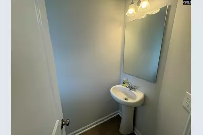 421 Pinaster Path, West Columbia, SC 29169 - Photo 3