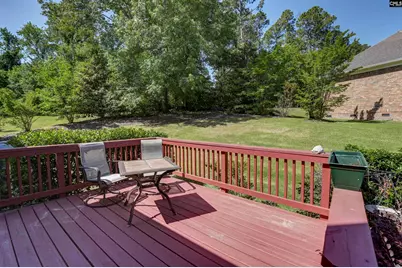 31 Bird Springs Court, Columbia, SC 29223 - Photo 39