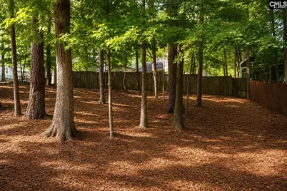 217 Stockmoor Road, Columbia, SC 29212 - Photo 27