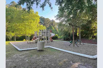 416 Buckthorne Drive, Lexington, SC 29072 - Photo 39