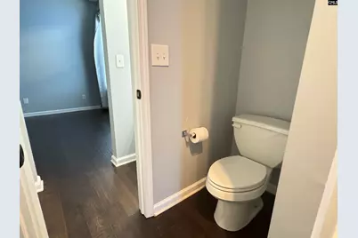 416 Buckthorne Drive, Lexington, SC 29072 - Photo 17