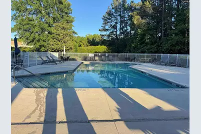 416 Buckthorne Drive, Lexington, SC 29072 - Photo 37