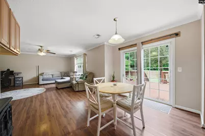 316 Turkey Beard Court, Chapin, SC 29036 - Photo 11