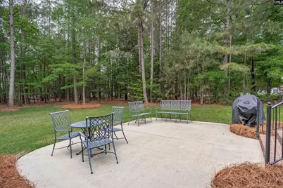 126 Pebblebranch Drive, Chapin, SC 29036 - Photo 37