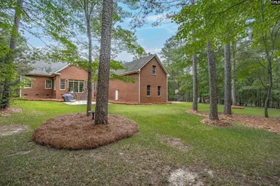 126 Pebblebranch Drive, Chapin, SC 29036 - Photo 41
