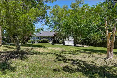 511 Woodline Road, Chapin, SC 29036 - Photo 51