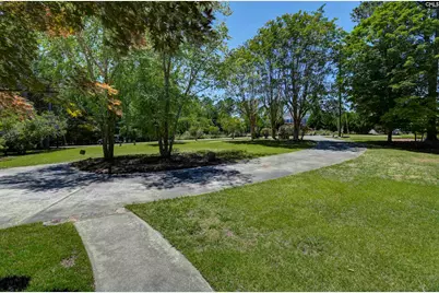 511 Woodline Road, Chapin, SC 29036 - Photo 57