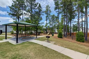 223 Chetsley Dr, Lexington, SC 29073 - Photo 25