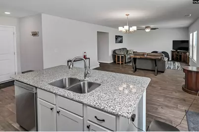 223 Chetsley Drive, Lexington, SC 29073 - Photo 5