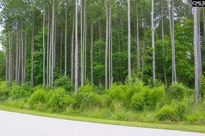 Clouds Creek Circle #94, Leesville, SC 29070 - Photo 1