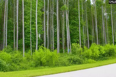 Clouds Creek Circle #94, Leesville, SC 29070 - Photo 5