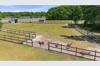 695 Hartzog, Barnwell, SC 29812 - Photo 59