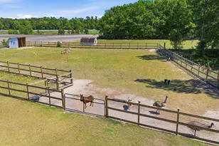 695 Hartzog, Barnwell, SC 29812 - Photo 59