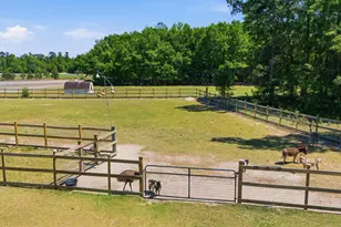 695 Hartzog, Barnwell, SC 29812 - Photo 61