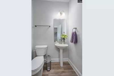 163 Highgate Lane, Chapin, SC 29036 - Photo 15