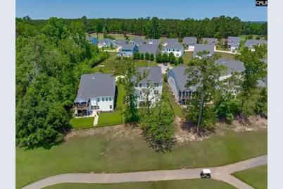 163 Highgate Lane, Chapin, SC 29036 - Photo 53