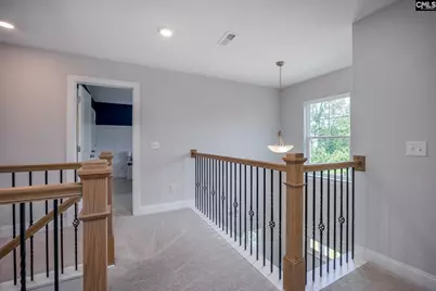 163 Highgate Lane, Chapin, SC 29036 - Photo 23
