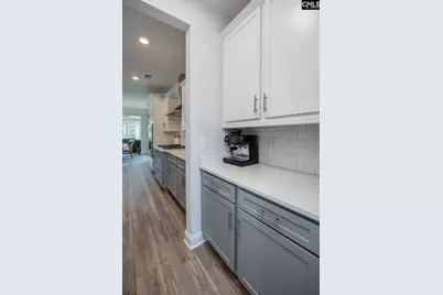 163 Highgate Lane, Chapin, SC 29036 - Photo 13