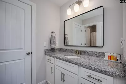 163 Highgate Lane, Chapin, SC 29036 - Photo 31