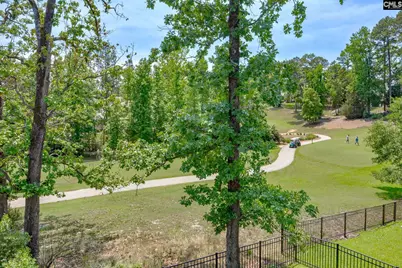 163 Highgate Lane, Chapin, SC 29036 - Photo 51
