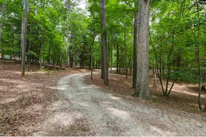 2031 Wash Lever Road, Little Mountain, SC 29075 - Photo 5