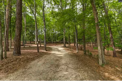 2031 Wash Lever Road, Little Mountain, SC 29075 - Photo 47