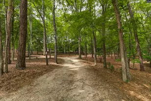 2031 Wash Lever Rd, Little Mountain, SC 29075 - Photo 47