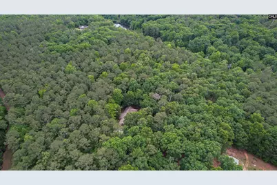 2031 Wash Lever Road, Little Mountain, SC 29075 - Photo 39